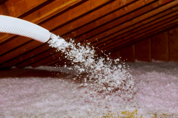 Best Insulation Installation Services in Lawrencevle, IL