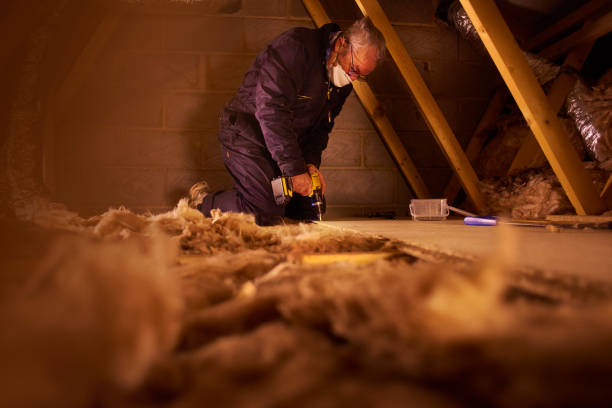 Professional Insulation Contractor in IL